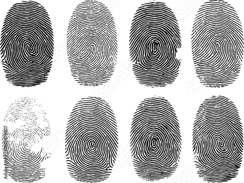 Fingerprint Patterns Vector Illustration