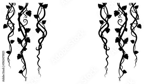 Jungle lianas vector with tropical vines leaves and flowers botanical design