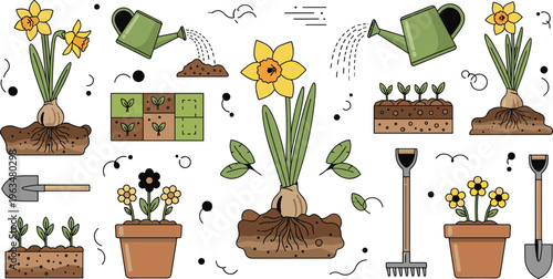 Daffodil gardening process icons set with planting watering soil care tools blooming flowers and home garden cultivation illustration
