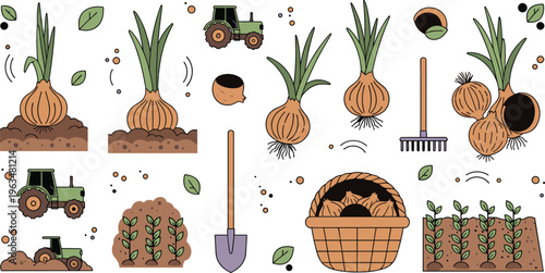 Onion farming process icons set with planting harvesting growth stages agriculture tools tractor and organic crop cultivation illustration