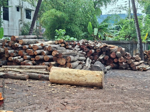 stack of firewood