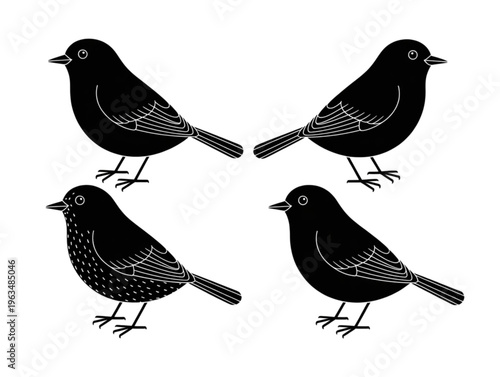 Set of black bird silhouettes with white line detail isolated on white background vector illustration