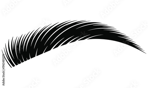 Detailed vector illustration of a single raised eyebrow in black