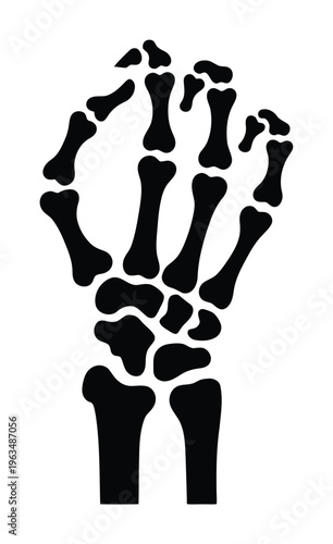 Black Silhouette of a Human Skeleton Hand and Wrist Bones