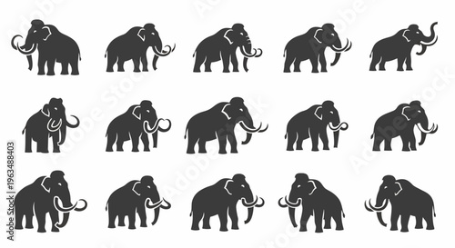 Black silhouettes of multiple elephants standing.
