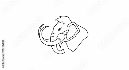 Mammal Elephant Head Closeup Profile View.