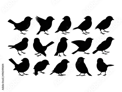 Collection of fifteen small bird silhouettes in various poses isolated on white background vector illustration