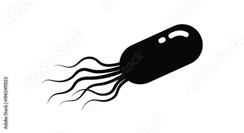 Black and white illustration of a bacterium with flagella visible