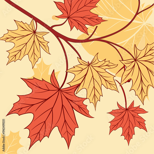 Close-up view of autumnal maple leaves in red and yellow hues on a branch against a soft cream background, a seasonal nature design, autumn colors, fall season