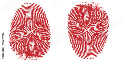 Two red ink fingerprints on white background, human thumbprint identification for forensic analysis and biometric security