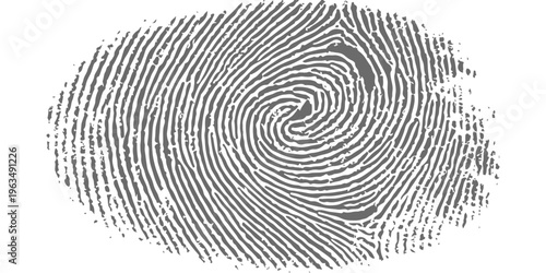 Set of three black fingerprint icons with whorl patterns on white background for biometric security