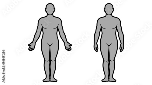 Vector illustration of two human body silhouettes standing in a neutral pose