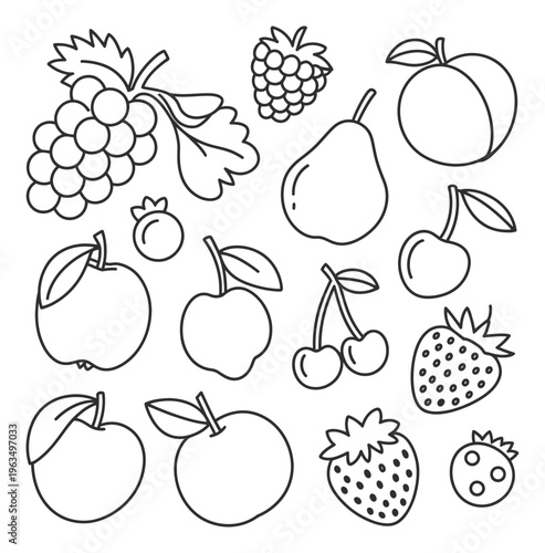 A Collection of Hand-Drawn Fruits in Outline Style
