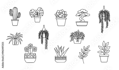 Minimal monoline potted plants icon set with indoor botanical greenery and plant decor symbols for web design