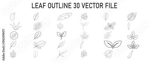 Outline Leaf Shapes Vector Icons Set illustration