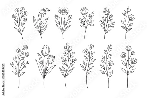 Black and white line of various blooming wildflowers with stems and leaves line wildflowers