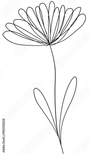 Floral Doodle Clipart for Worksheets Hand Drawn Flowers