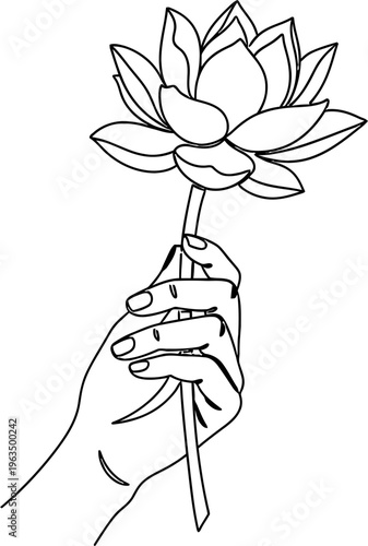hand holding a lotus flower. vesak day illustration vector