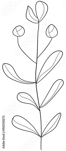 Floral Doodle Clipart for Worksheets Hand Drawn Flowers