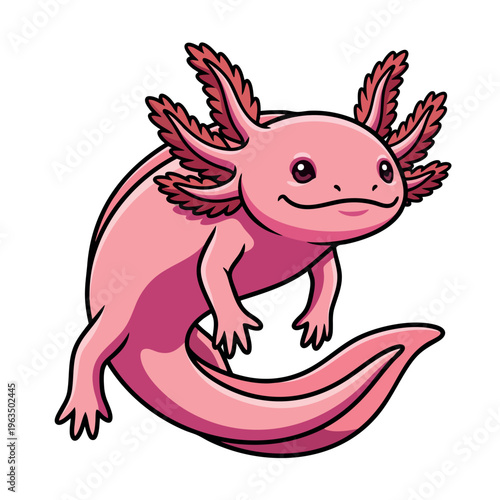 Playful Pink Axolotl Ambystoma mexicanum Swimming Vector Art