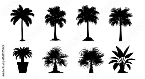 Palm trees silhouette set with various tropical plant styles and black silhouettes on white background