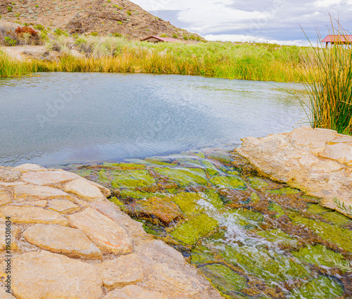 Photography Pool of Natural Warm Water Flowing at Historic Rogers Springs, Lake Mead Nationa