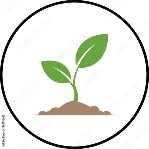 A small green plant sprout growing out of brown soil on a black background