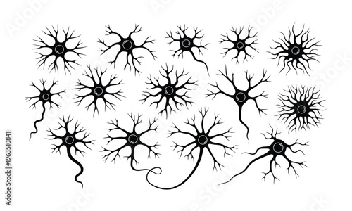 Collection of neuron cells on white background, neuroscience, biology
