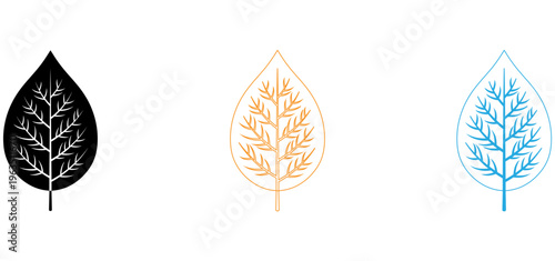 Three stylized leaf illustrations in black orange and blue