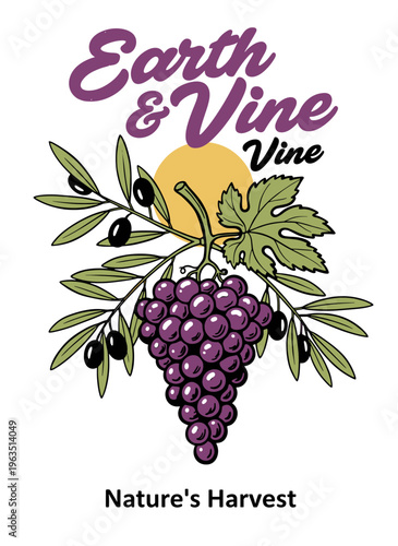 Earth and Vine harvest logo with purple grapes and olive branches, hand drawn vector illustration for winery or organic food label