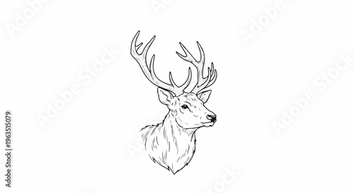 Majestic deer head with elaborate antlers, sketched in a minimalist style