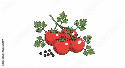 Four ripe tomatoes on the vine with green leaves and peppercorns