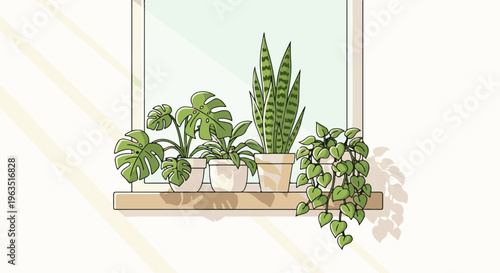 Houseplants in pots on a windowsill with sunlight streaming in