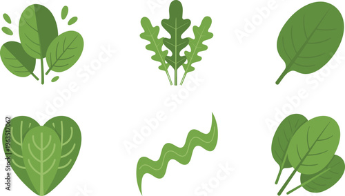 Green leafy vegetables icons set with spinach, herbs and fresh leaves, flat cartoon healthy food collection isolated for organic nutrition design