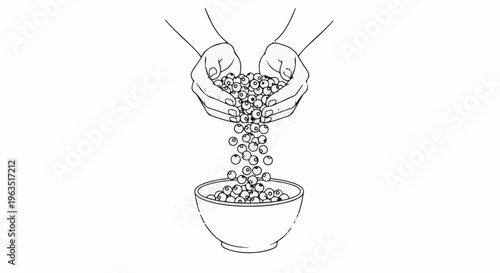 Hands pouring small berries into a bowl