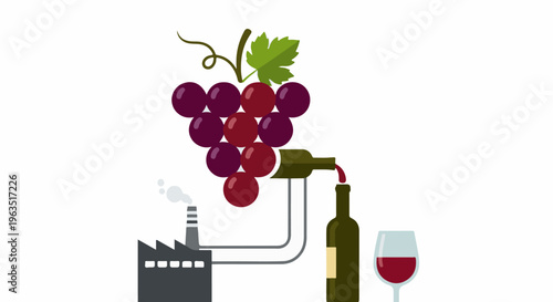 Grapes processed into wine at a factory and bottled, ready for consumption