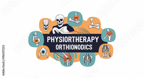 Graphic design for physiotherapy and orthopedics with anatomical illustrations