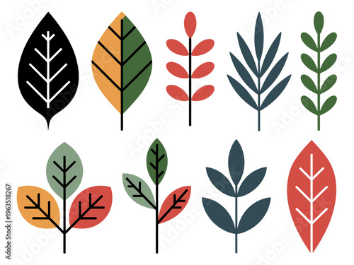 Collection of stylized flat autumn leaves in various colors and shapes leaf fall
