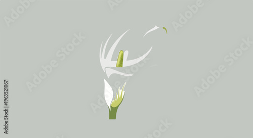 Stylized white and green flower on a plain gray background