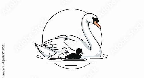 Elegant swan and two cygnets swim in calm water under a crescent