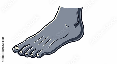 Anatomical foot illustration with defined toes and sole details