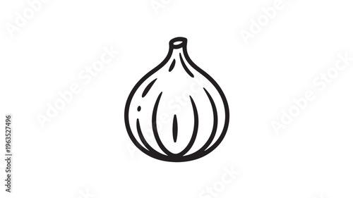Onion Illustration For Food And Ingredient Concepts