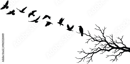 Flying birds silhouettes with perched crow on tree branch vector illustration isolated on white background for nature wildlife design decoration