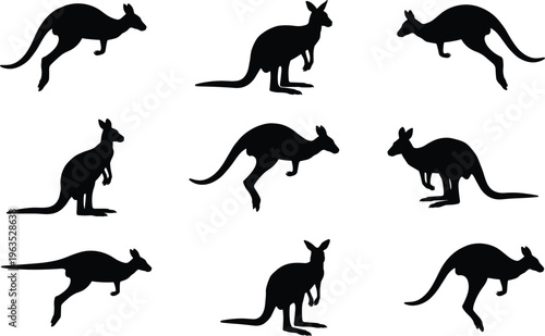 Kangaroo silhouette set vector collection showing jumping and standing poses isolated on white background wildlife animal icons for design branding and clipart