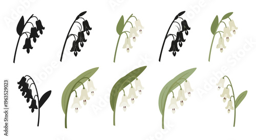Dutchman’s Breeches Vector Illustration | Woodland Wildflower Botanical Artwork | Unique Spring Flower Design