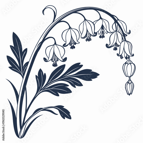 Dutchman’s Breeches Vector Illustration | Woodland Wildflower Botanical Artwork | Unique Spring Flower Design