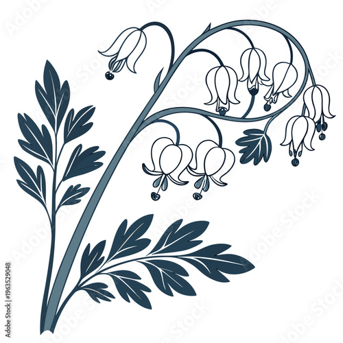 Dutchman’s Breeches Vector Illustration | Woodland Wildflower Botanical Artwork | Unique Spring Flower Design