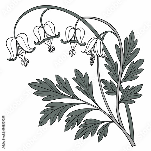 Dutchman’s Breeches Vector Illustration | Woodland Wildflower Botanical Artwork | Unique Spring Flower Design