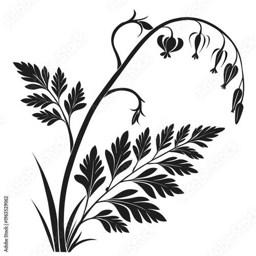 Dutchman’s Breeches Vector Illustration | Woodland Wildflower Botanical Artwork | Unique Spring Flower Design