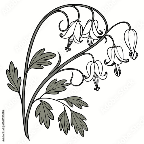 Dutchman’s Breeches Vector Illustration | Woodland Wildflower Botanical Artwork | Unique Spring Flower Design
